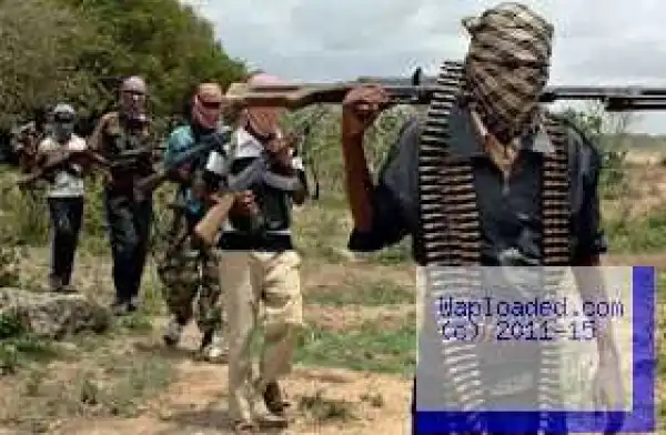 Boko Haram beheads residents after attack on Borno village
